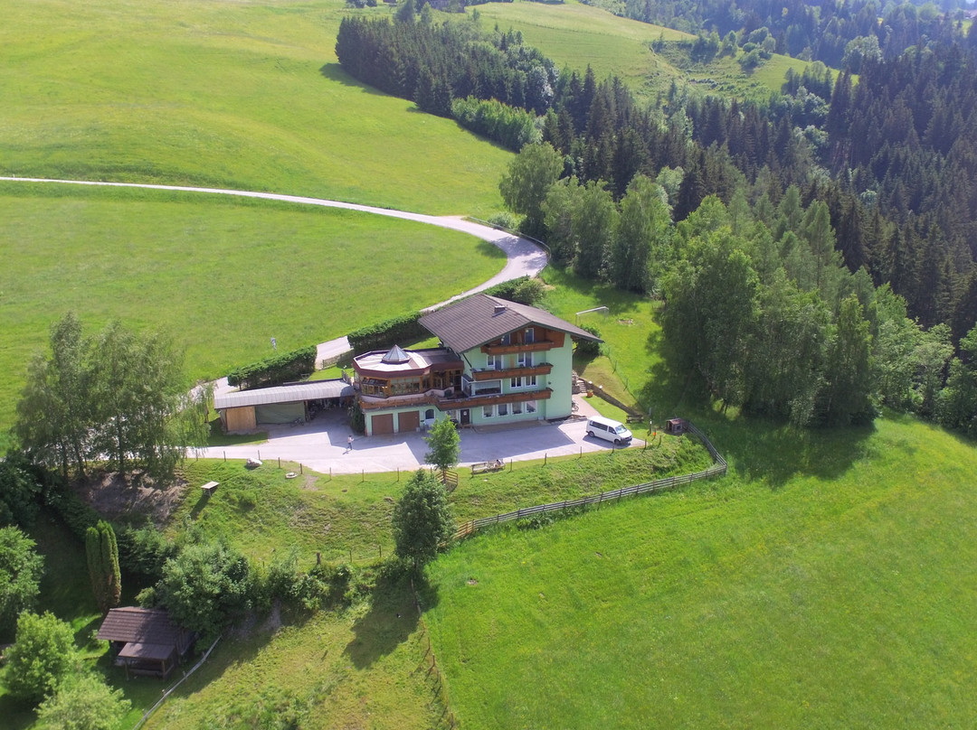 Panoramahotel Stocker主图