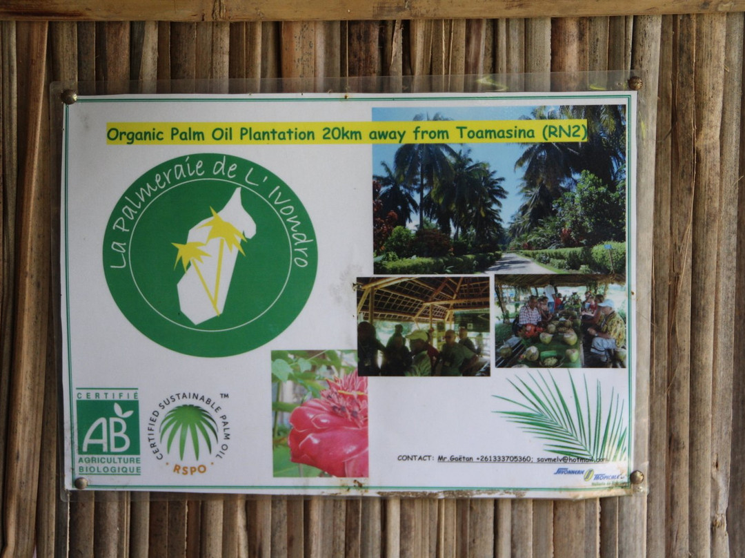 Toamasina (Tamatave)旅游攻略图片
