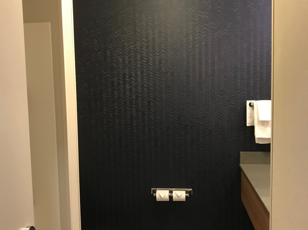 坎卢普斯万豪费尔菲尔德客栈及套房酒店主图