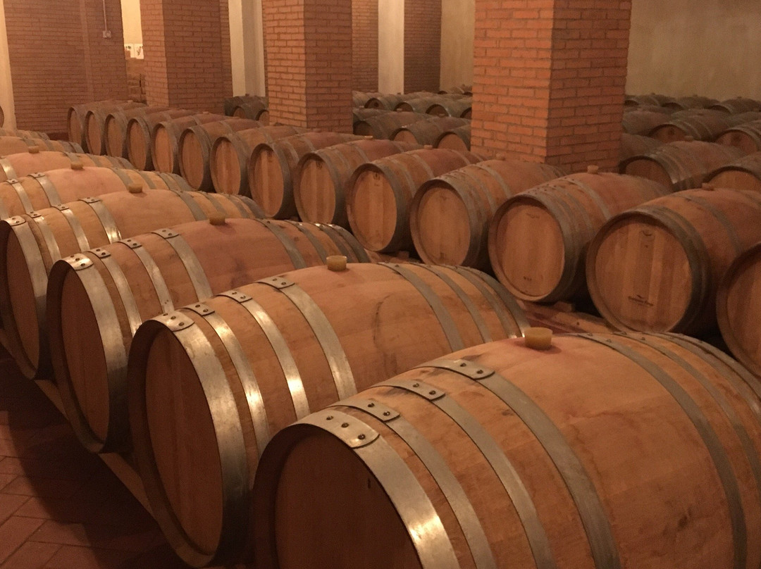 Vasilikon winery-帕福斯必去景点