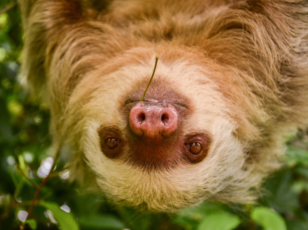 Blue Pass-福德圣卡洛斯必去景点