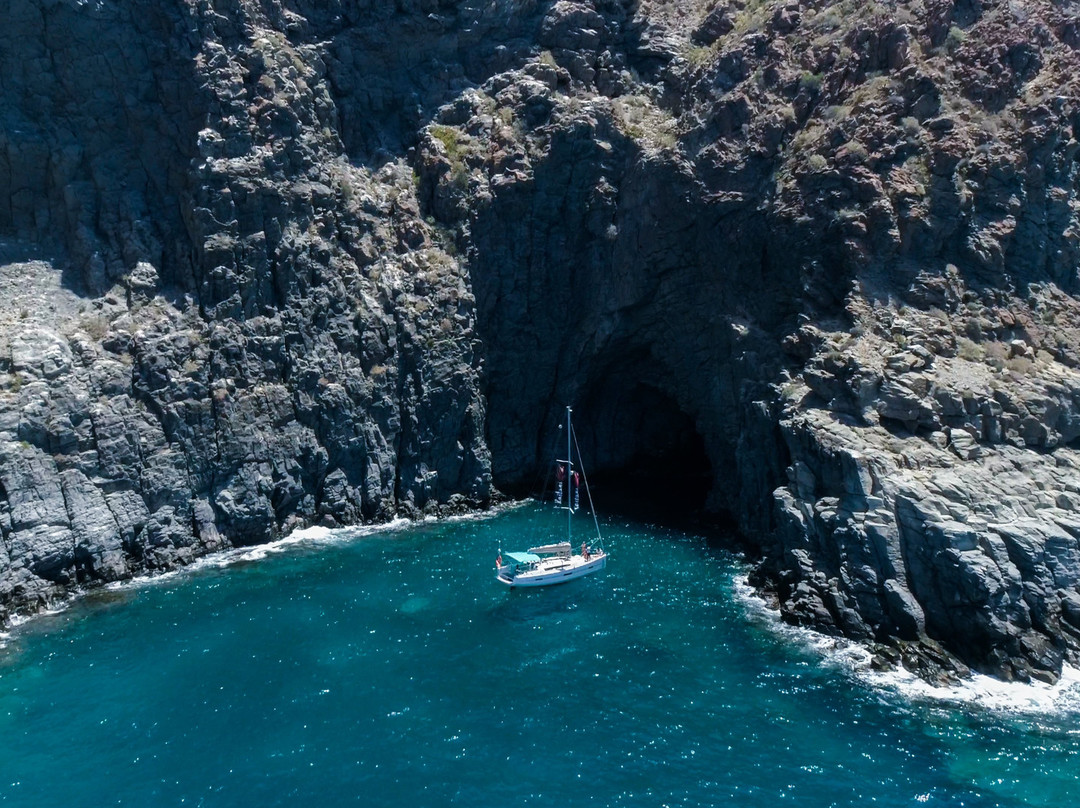Kailani Whale Watching-奥德杰海岸必去景点