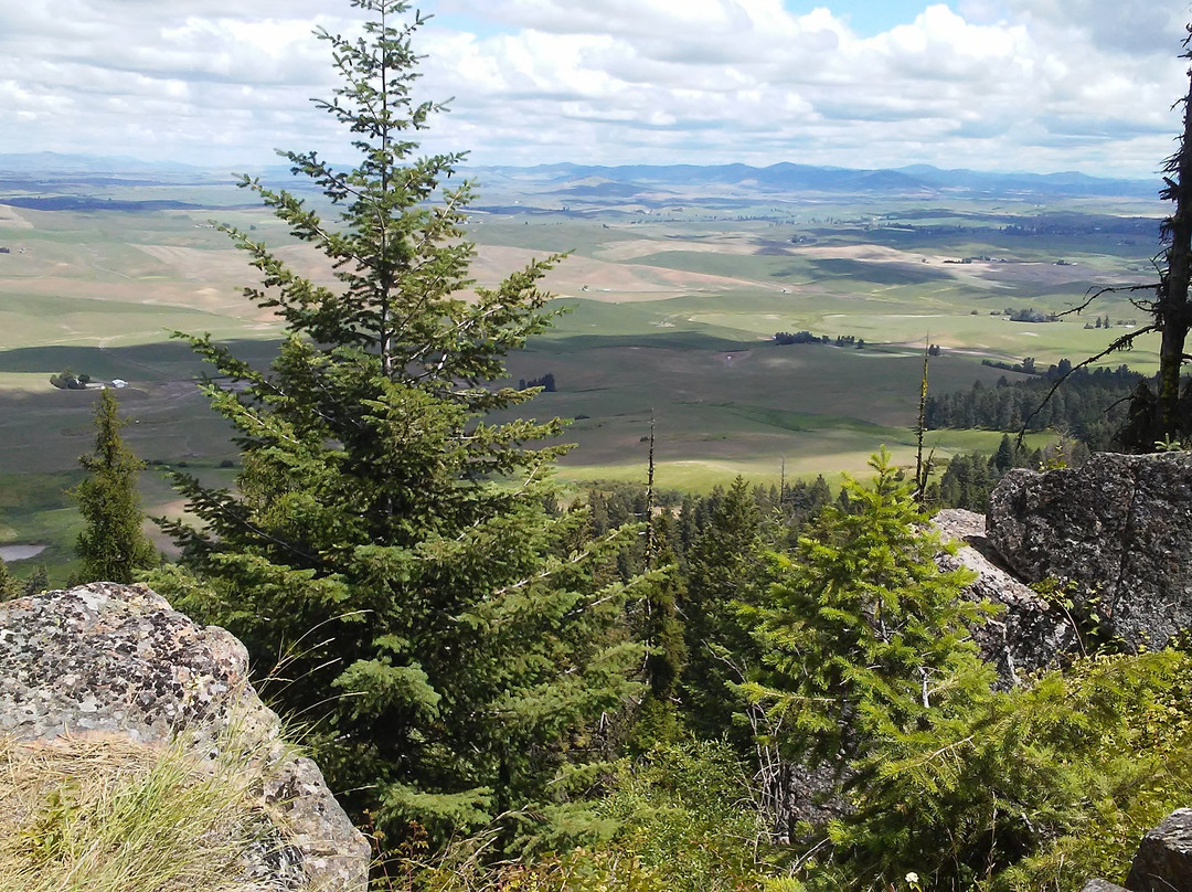 Kamiak Butte County Park景点图片