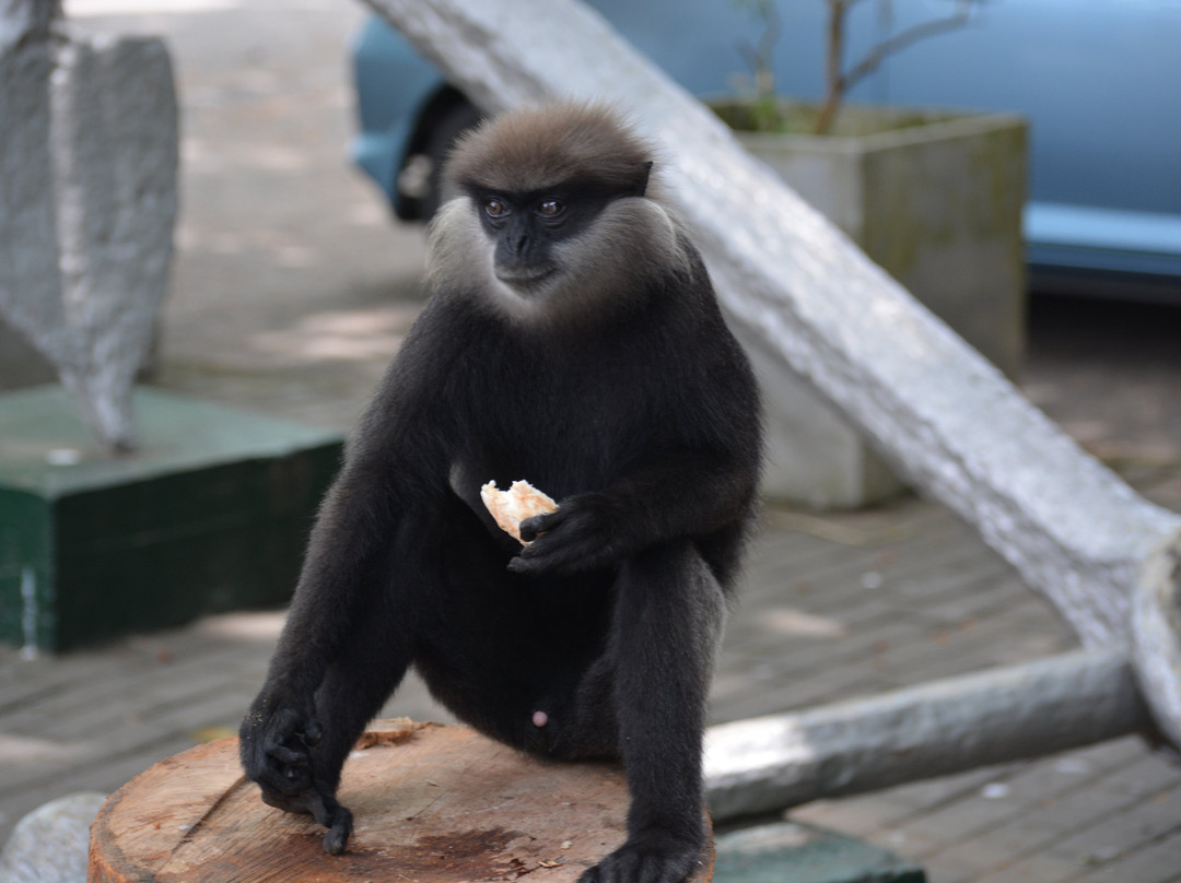 Galle Lanka Tours-加勒必去景点