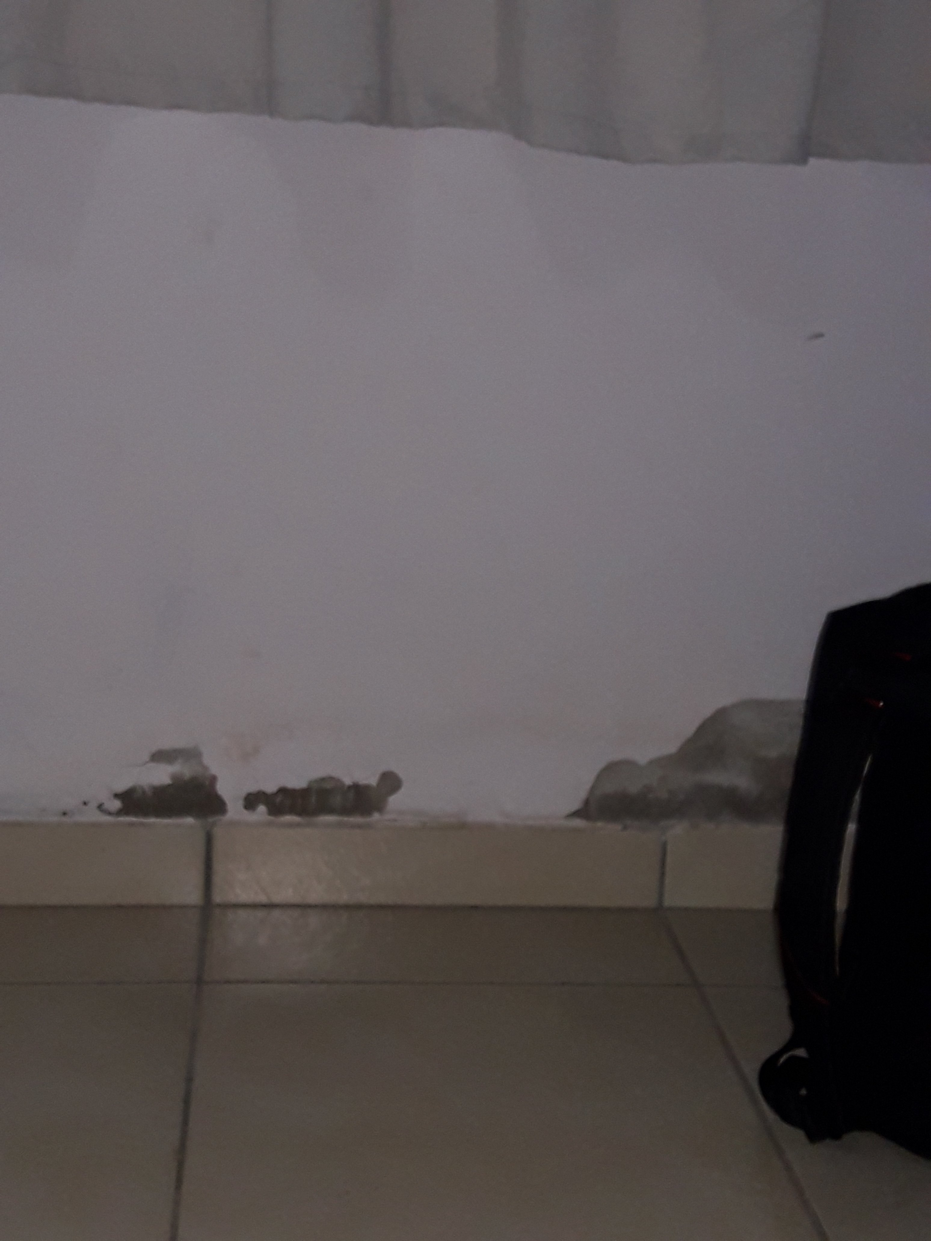 Hotel Bela Vista-官方