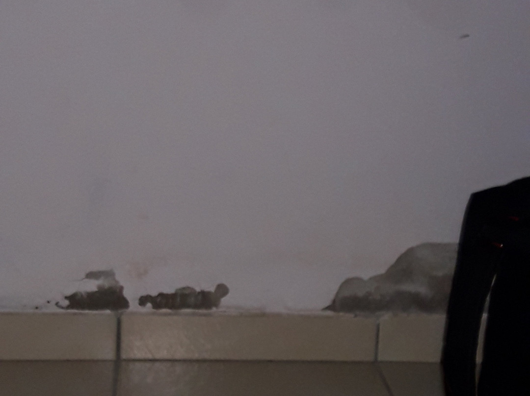 Hotel Bela Vista主图