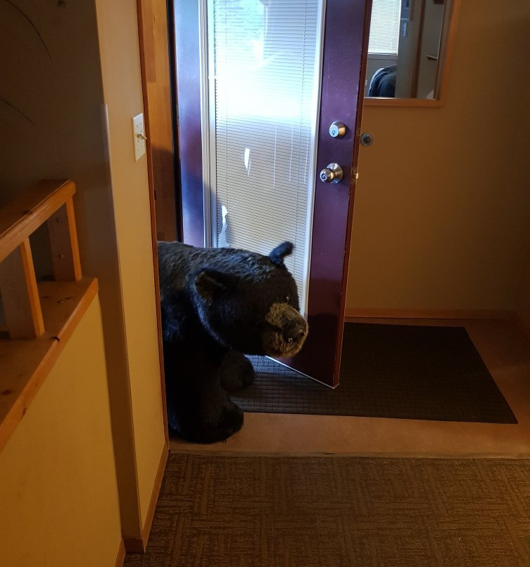 Truffle Pigs Lodge主图