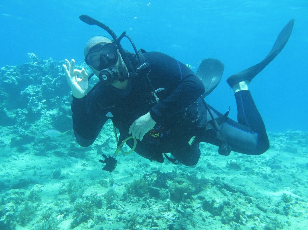 Diving Puerto Plata-普拉塔港必去景点