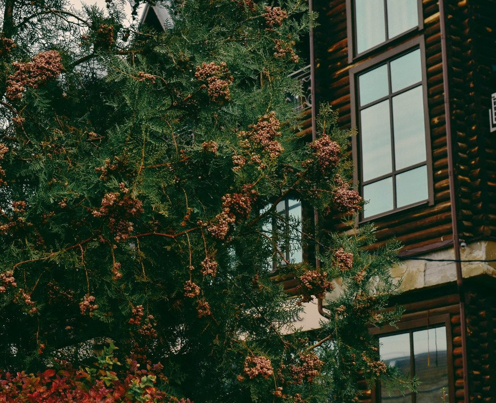 Villa Club Hotel主图