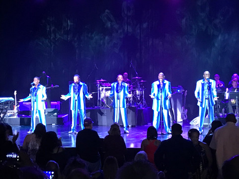 奥尔良酒店陈列室-拉斯维加斯必去景点