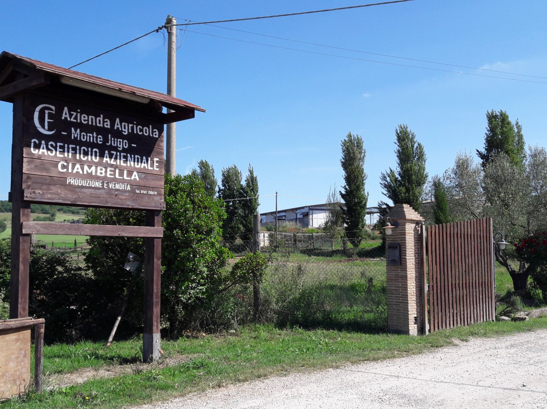 Commenda旅游景点-Azienda Agricola Monte Jugo