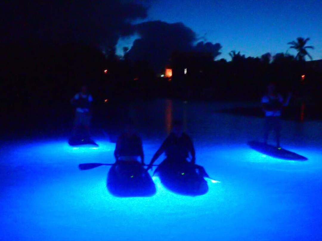 Bright Paddle-库莱布拉岛必去景点