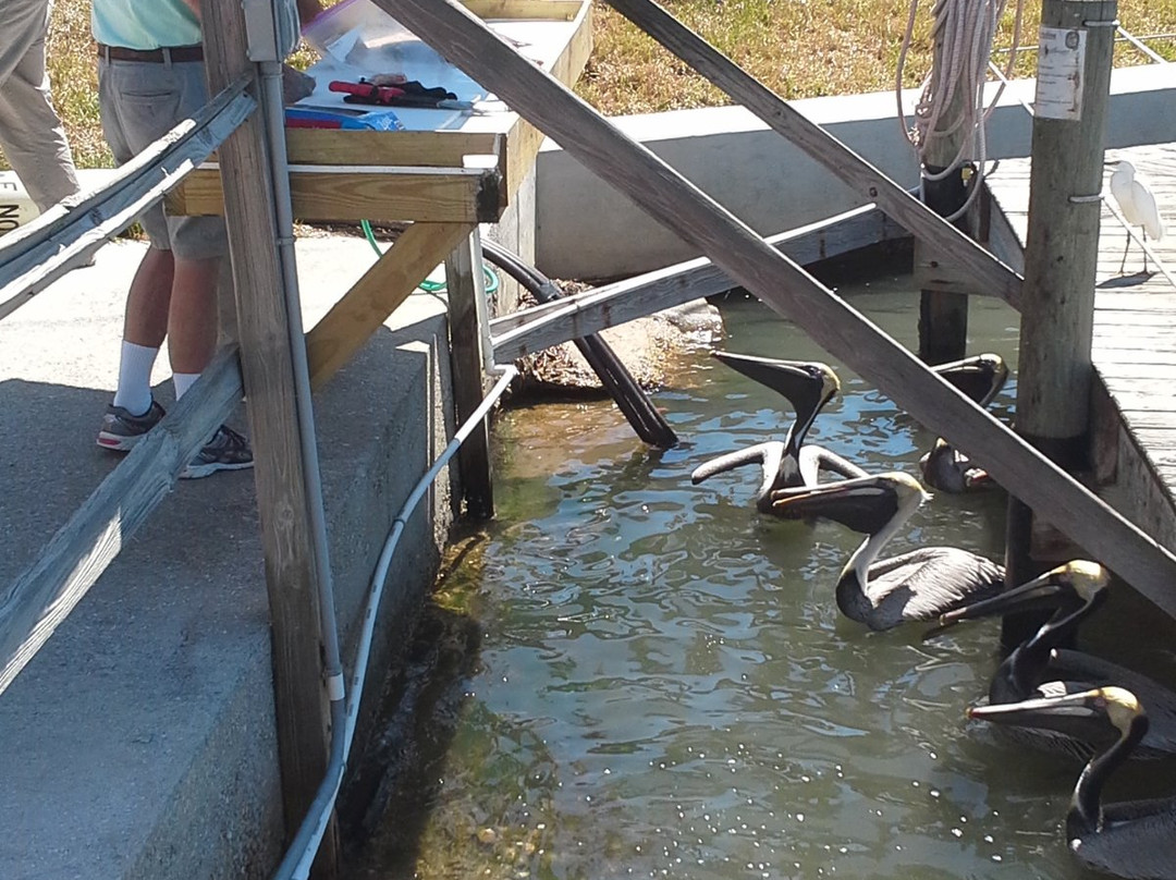 Reef Raider Fishing Charters-恩格尔伍德必去景点