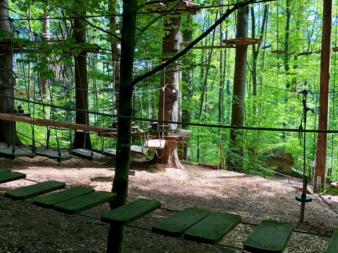 Kletterwald Prien-基姆湖畔普林必去景点