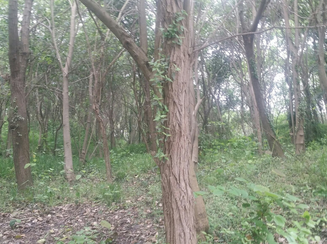 天生桥-溧水县必去景点