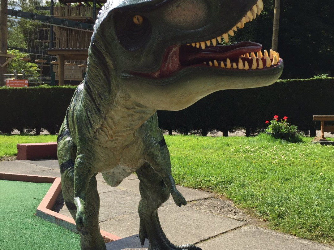Haigh Woodland Park Crazy Golf景点图片