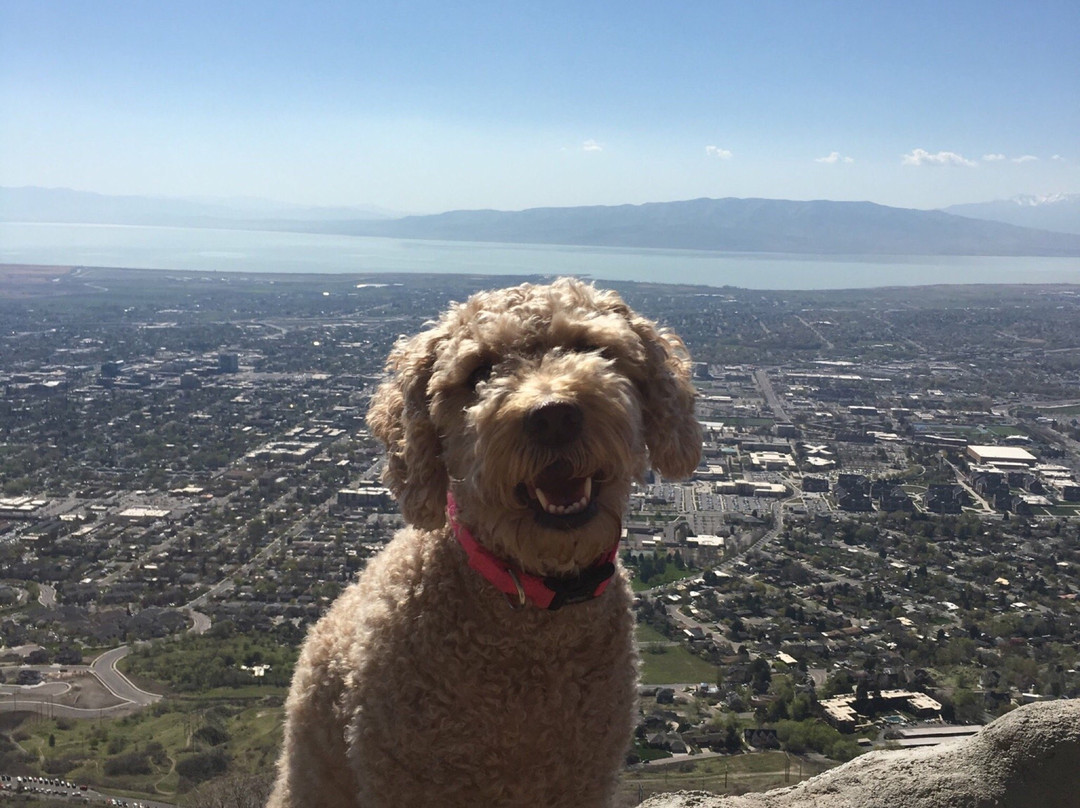 Hike The Y Trail-普若佛必去景点