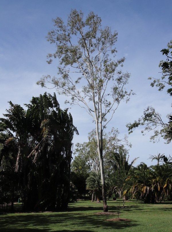 Dan Gleeson Memorial Gardens-Kirwan必去景点