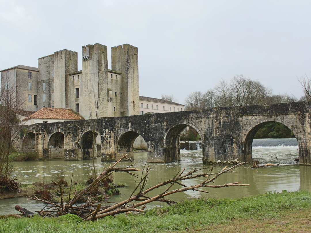 Pont roman de Barbaste景点图片