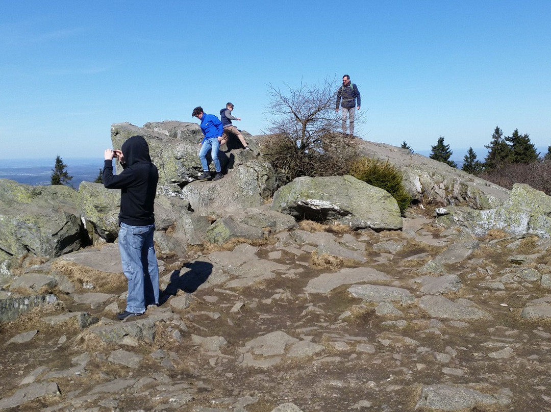 Aussichtsturm Großer Feldberg景点图片