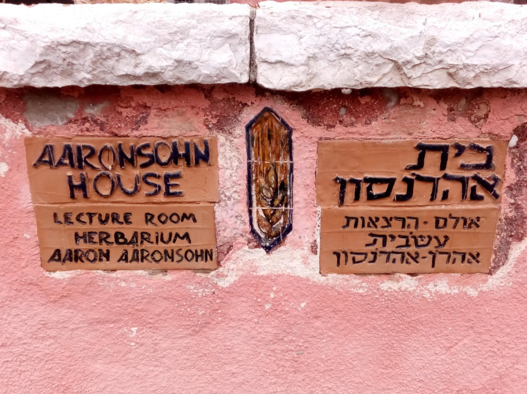 Beit Aaronsohn - N.I.L.I. Museum-Zichron Yaakov必去景点