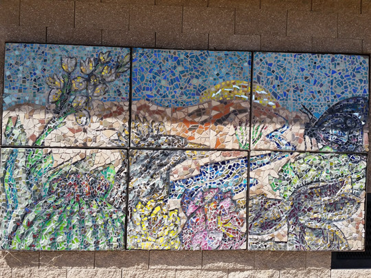 Chihuahuan Desert Nature Park-拉斯克鲁塞斯必去景点