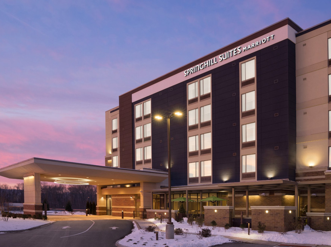 SpringHill Suites by Marriott Allentown Bethlehem/Center Valley主图