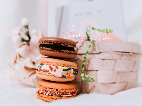 River Kitty Cat Cafe-埃文斯维尔必去景点