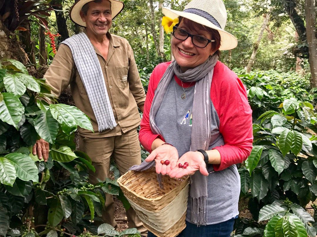 GoBogotá-波哥大必去景点