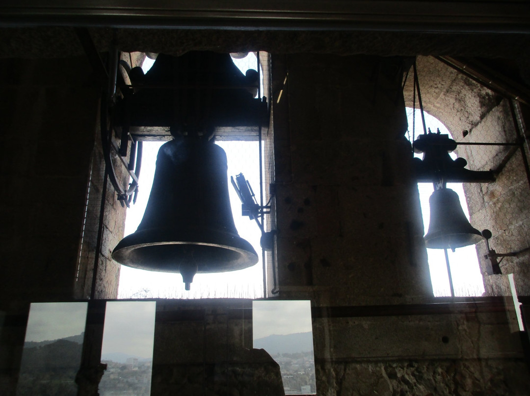 Museu PIO XII-布拉加区必去景点