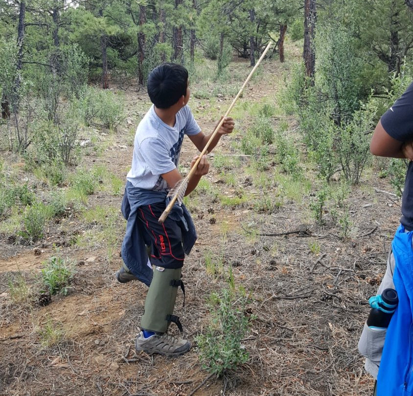 Indigenous Roots-Weston必去景点