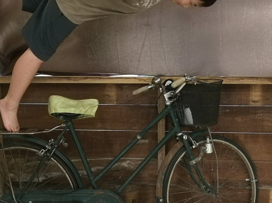 Bentong Upside Down House-文冬必去景点