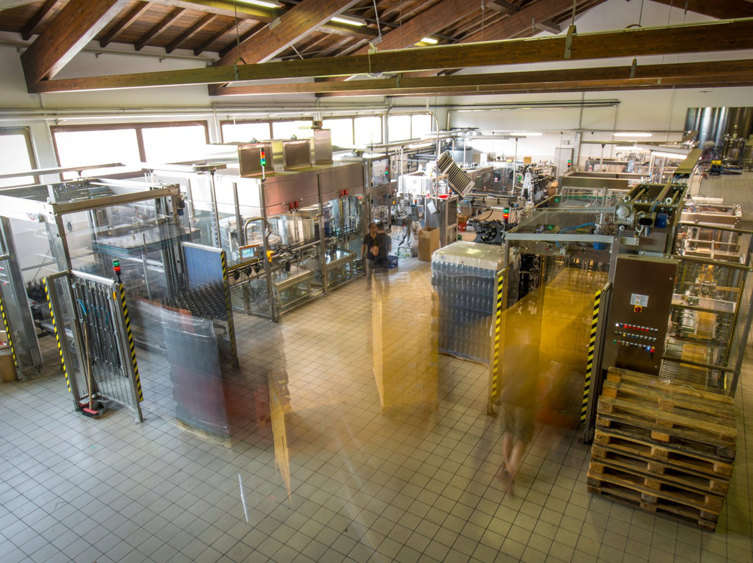 De Faveri Spumanti-Vidor必去景点