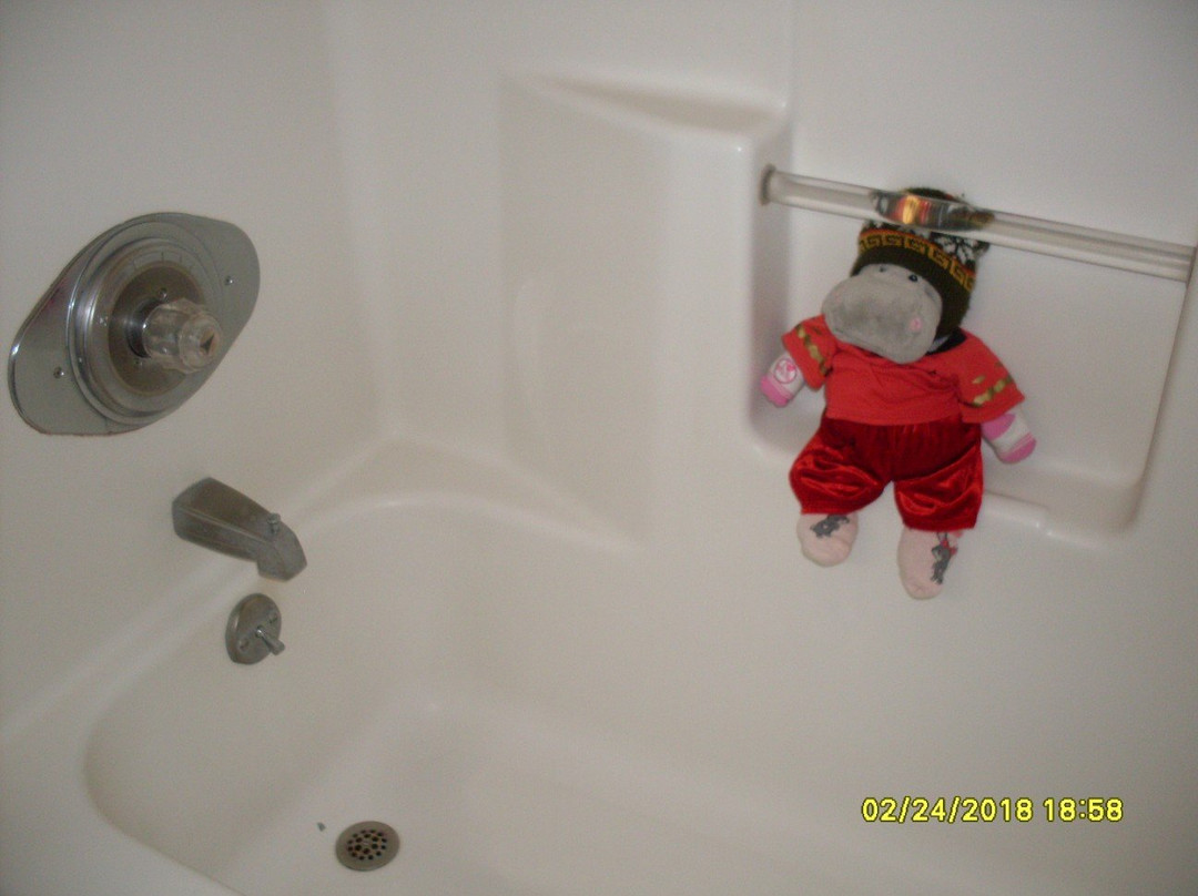 沃茨伯勒戴斯酒店主图