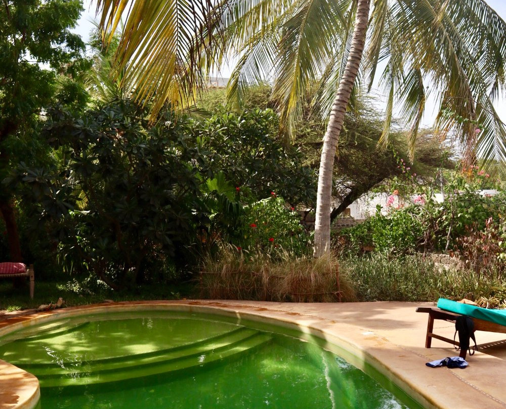 Banana House & Wellness Centre主图