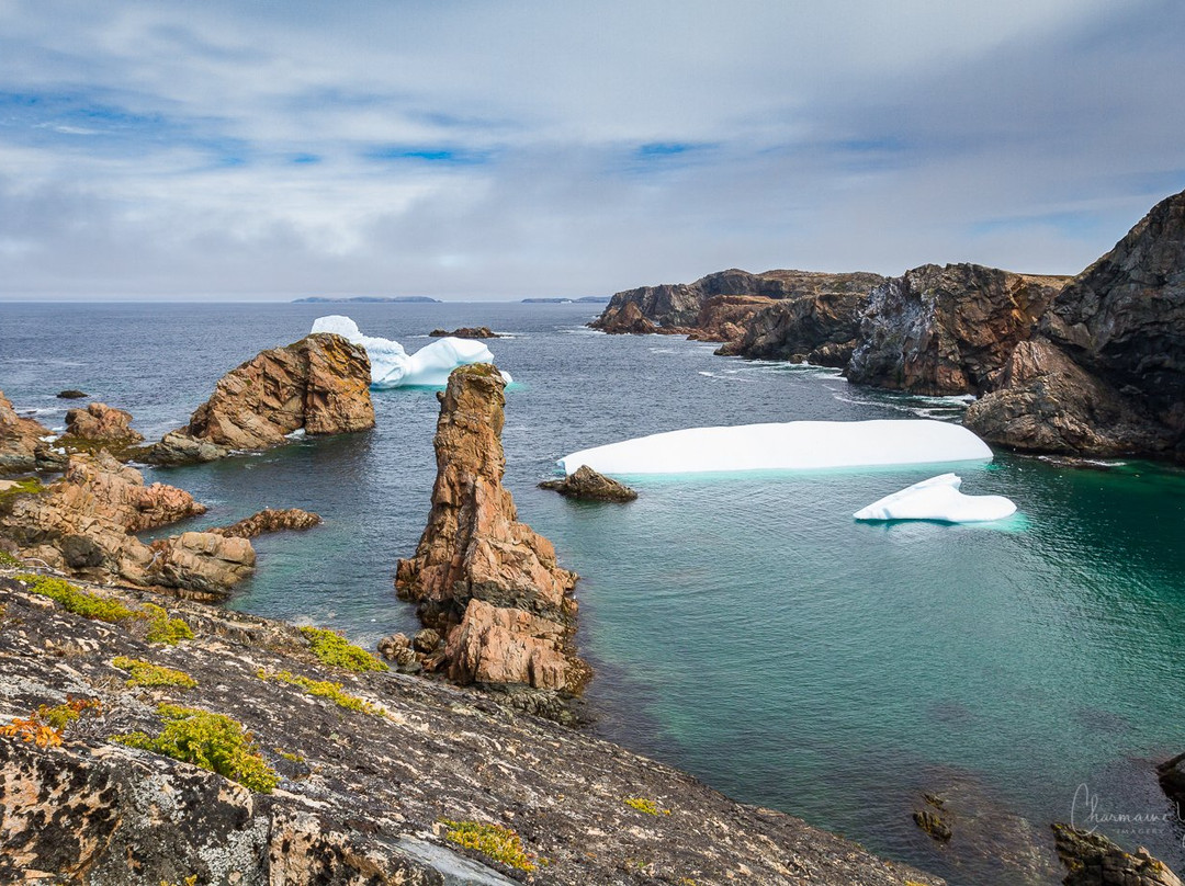 Twillingate Century House Bed and Breakfast主图