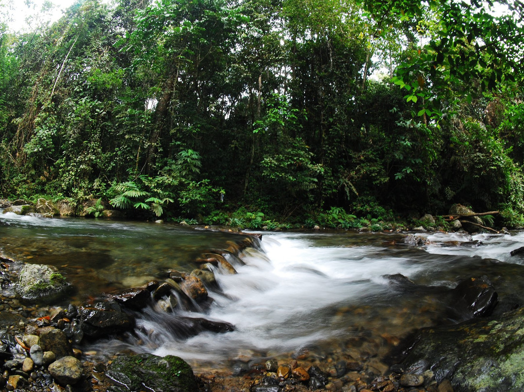 Lupa Masa Rainforest Camp