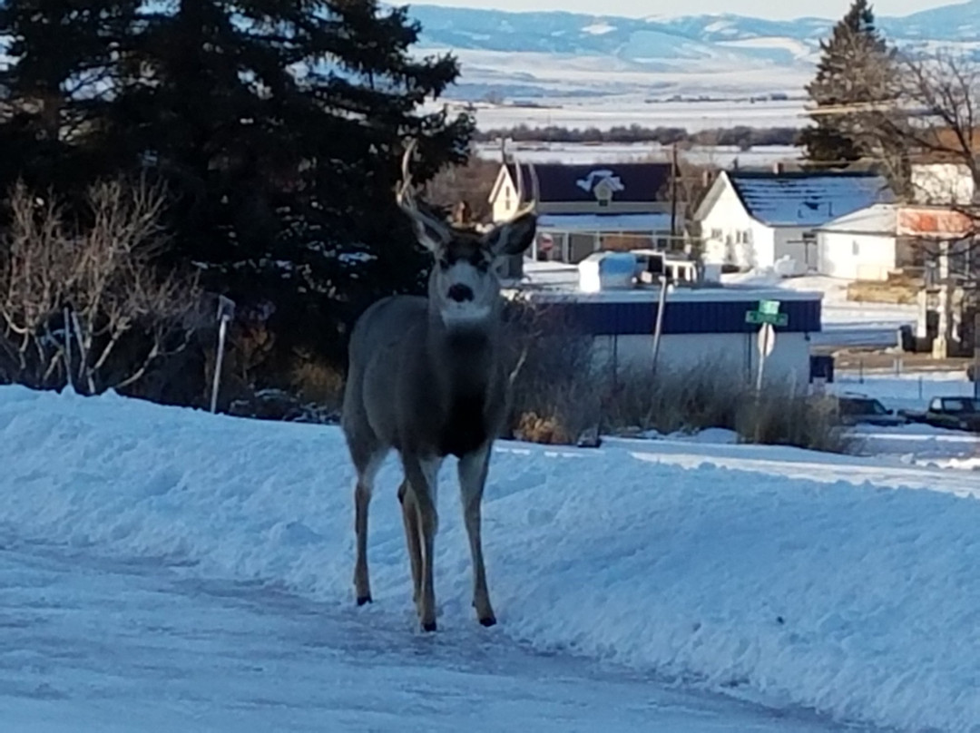 Gordon's Highland Motel主图