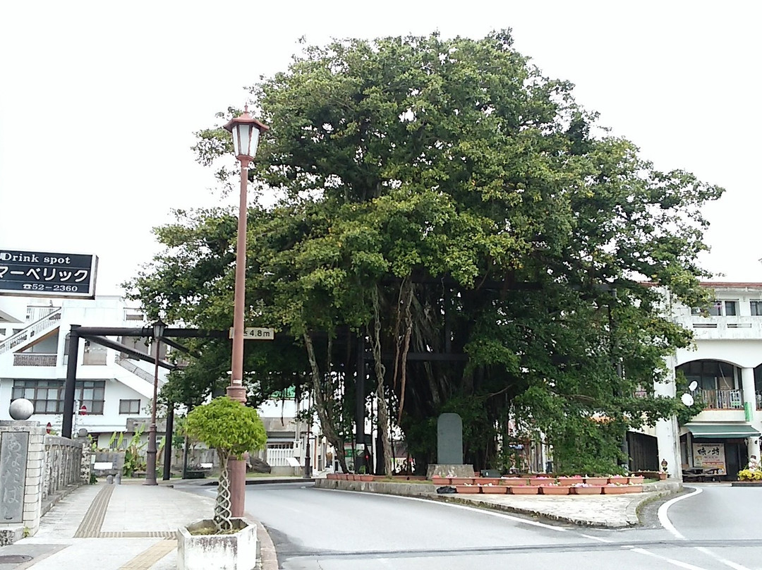 Nago Himpun Banyan Tree景点图片