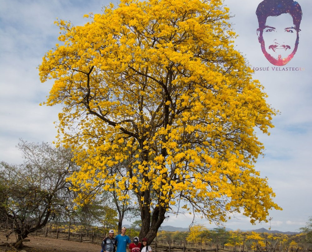 Mangahurco-Loja必去景点