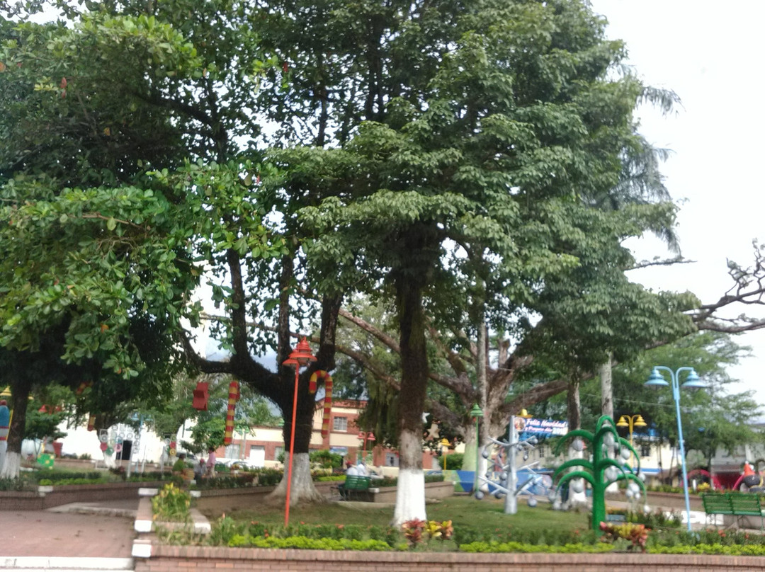 Parque Principal Restrepo Meta景点图片