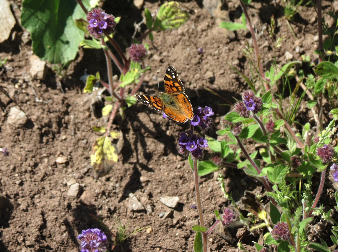 Parque Mahuida-圣地亚哥必去景点