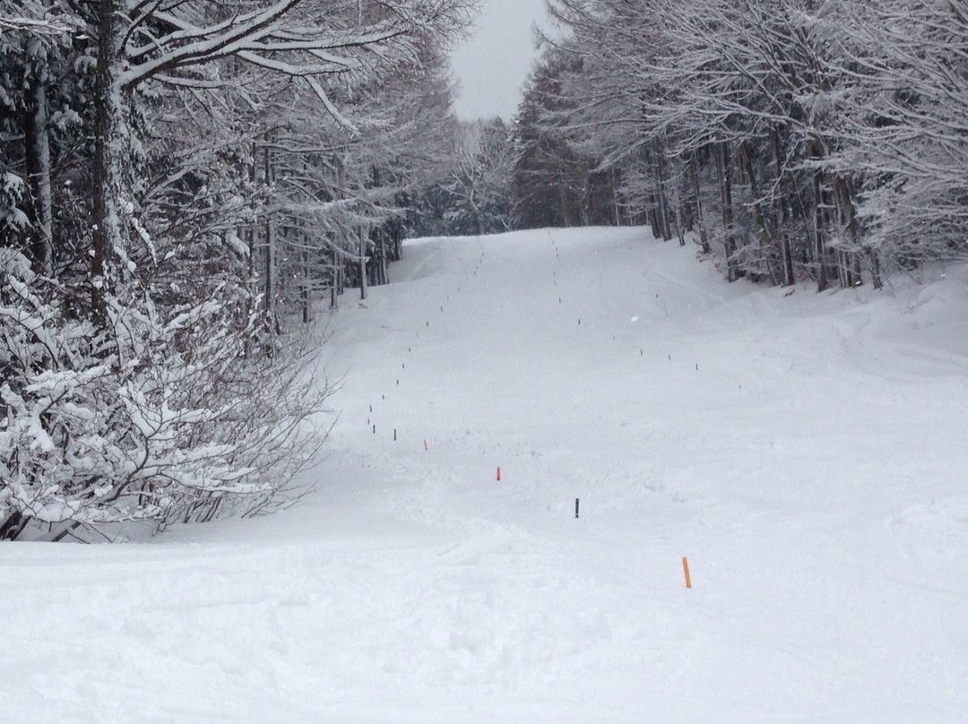 Washigatake Ski Area-郡上市必去景点