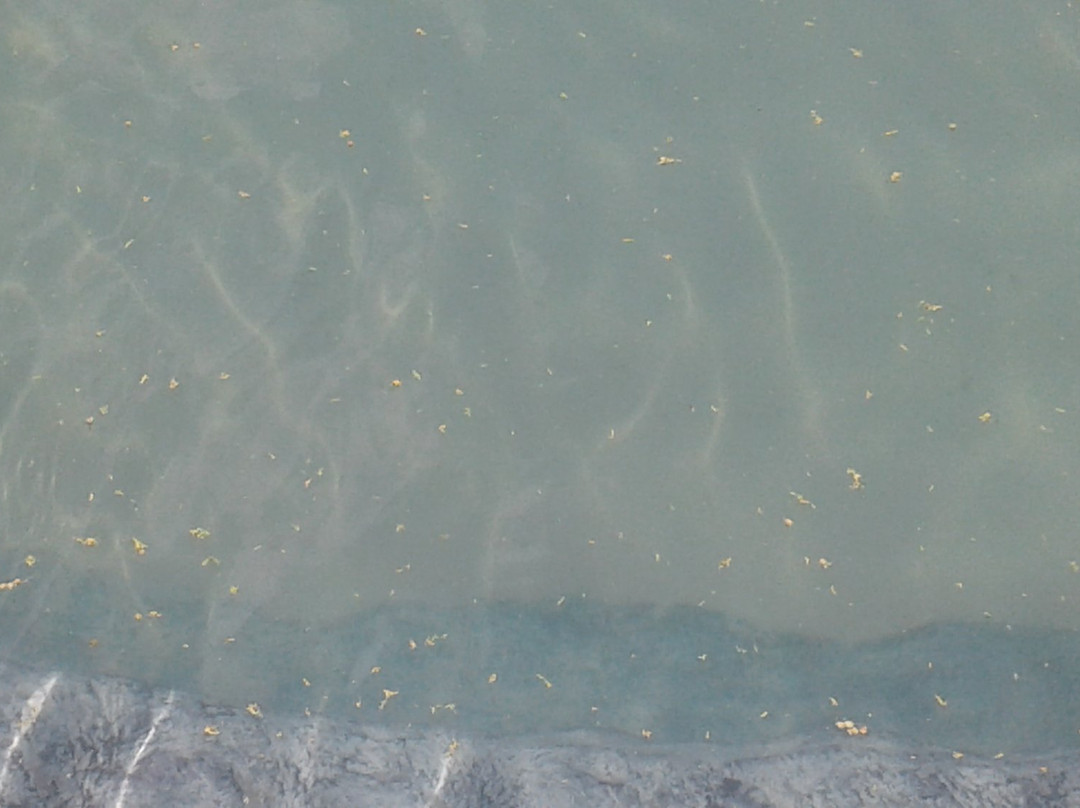 传奇高尔夫狩猎度假村主图