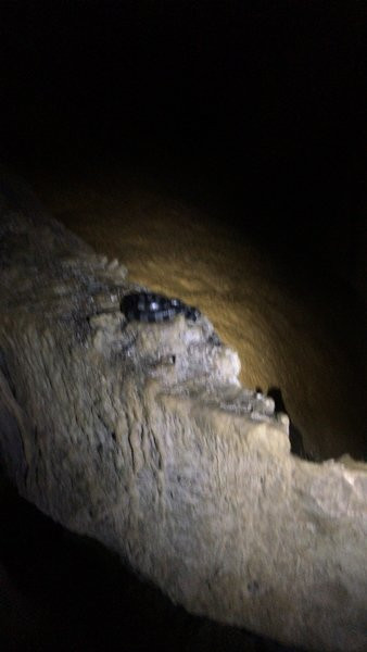 Boraga Limestone Cave-宫古岛市必去景点