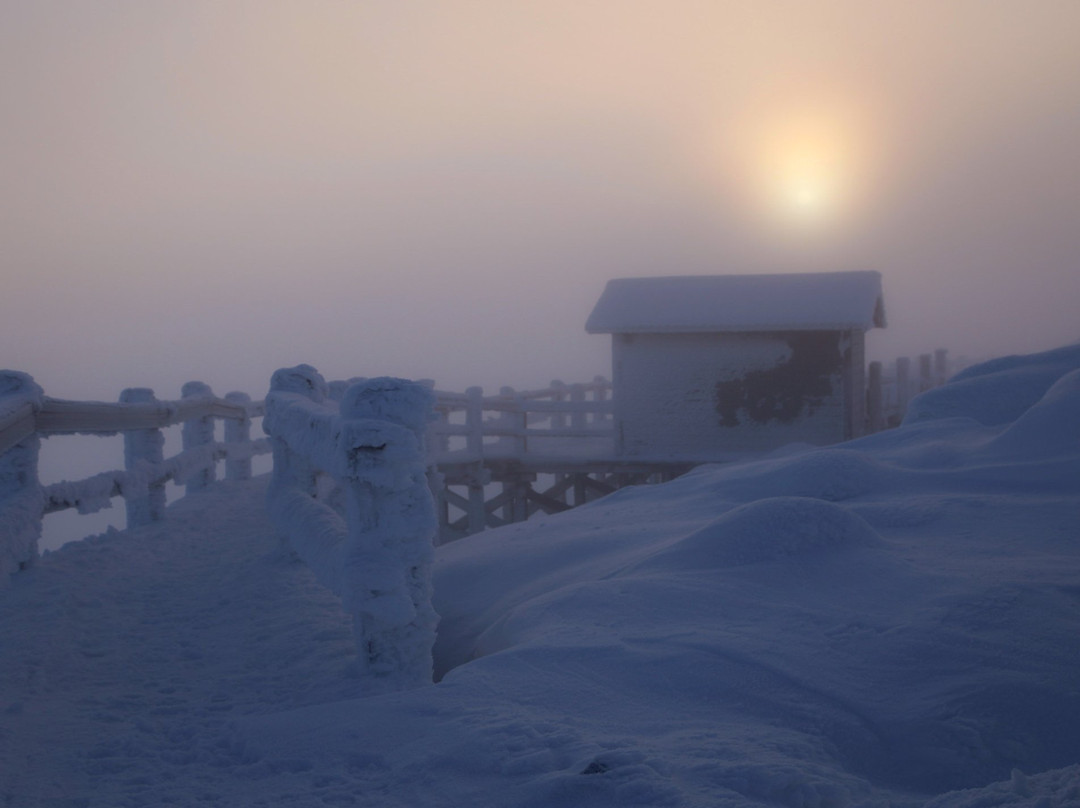 Huippupolku, Peak Trail in Levi-Levi必去景点