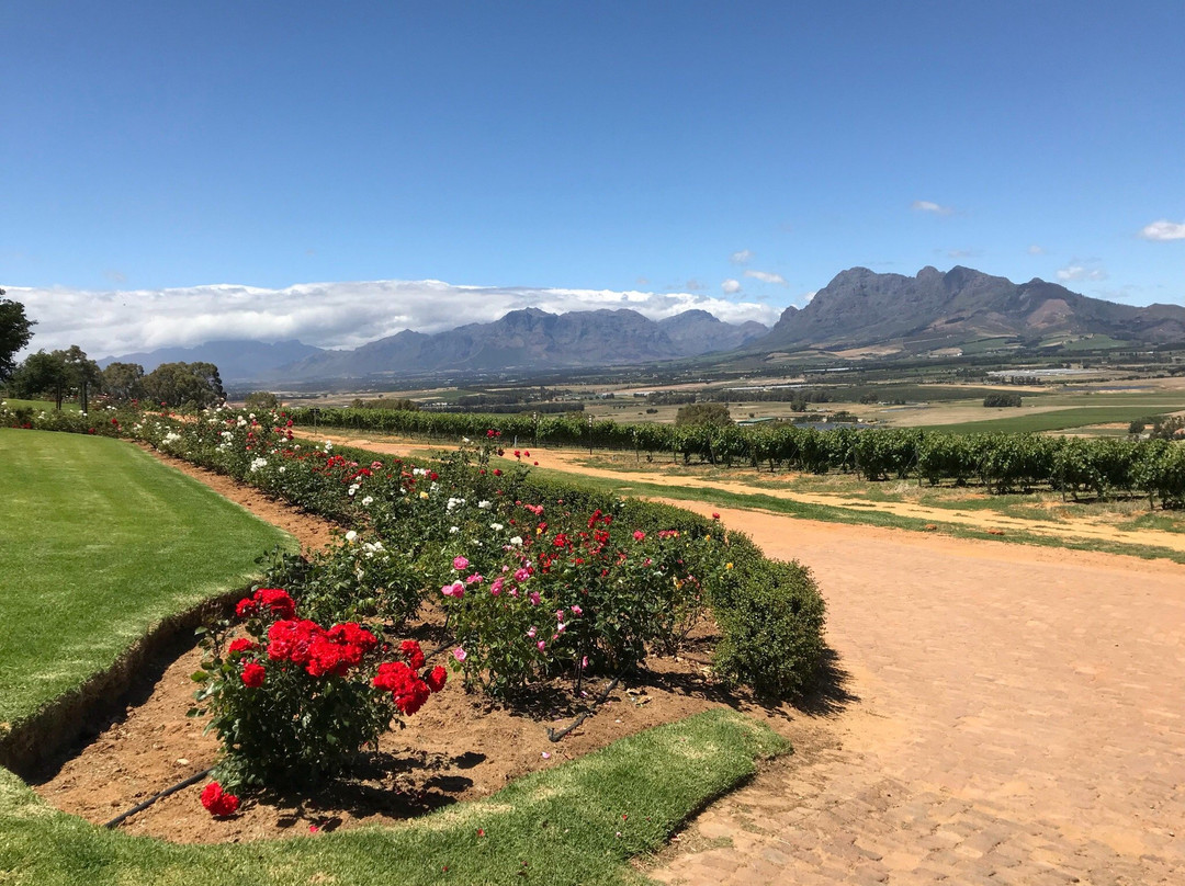 Suider Paarl旅游攻略图片