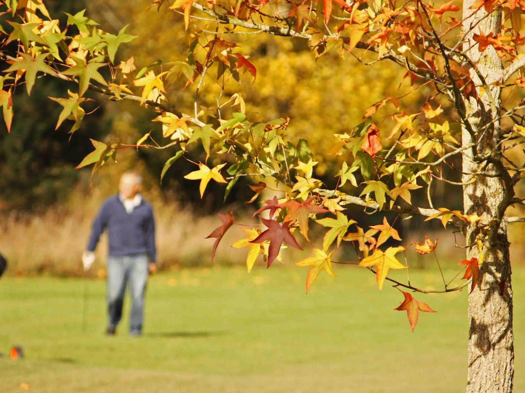 UGOLF: Golf de Gadancourt景点图片