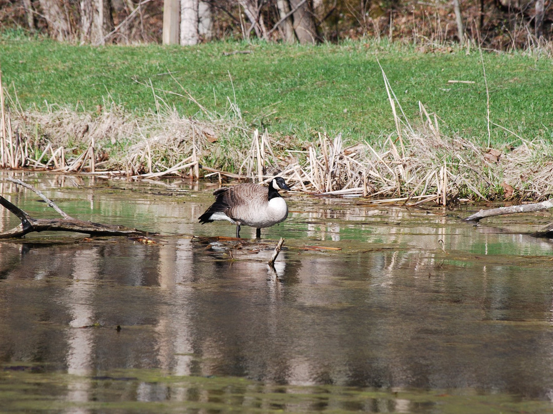Mary Gray Bird Sanctuary-Connersville必去景点