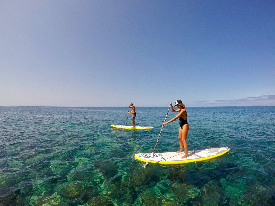 Madeira Surf & SUP Guide-沙尔必去景点